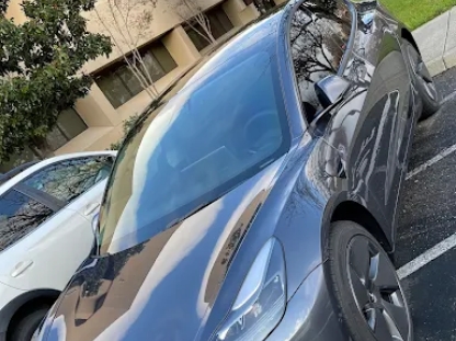 Windshield Protection